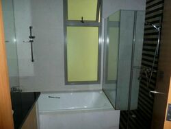 The Serenade @ Holland (D10), Condominium #520444521